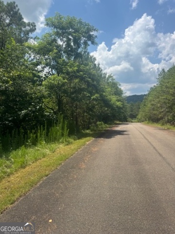 43-44 Reece Mountain Road Ellijay, GA 30536 - Photo 11 of 24 a view of a lake with a big yard