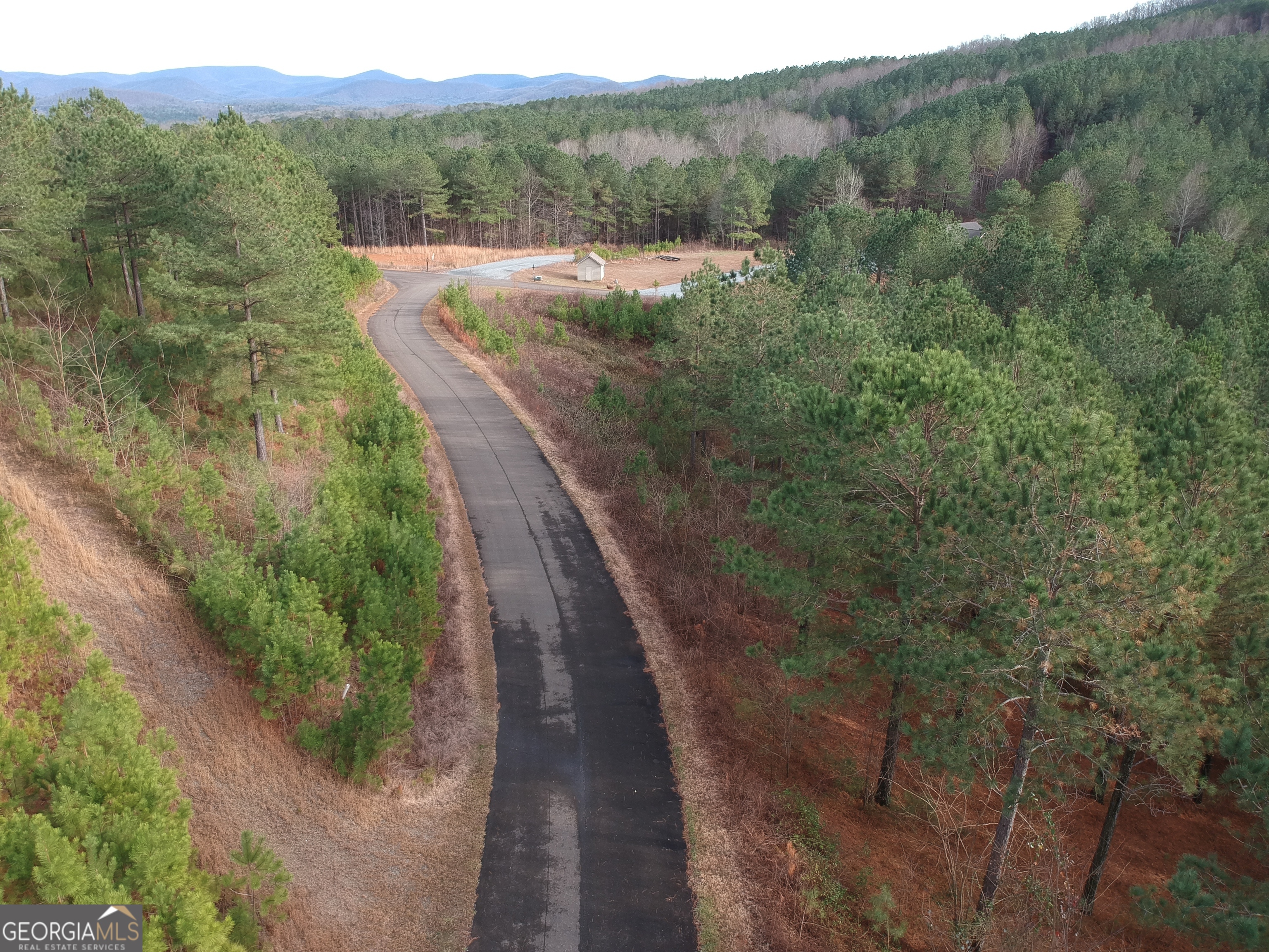 43-44 Reece Mountain Road Ellijay, GA 30536 - Photo 12 of 24 a view of a forest with a yard
