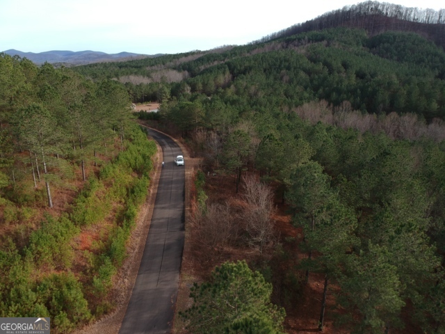 43-44 Reece Mountain Road Ellijay, GA 30536 - Photo 13 of 24 a view of a houses with a forest