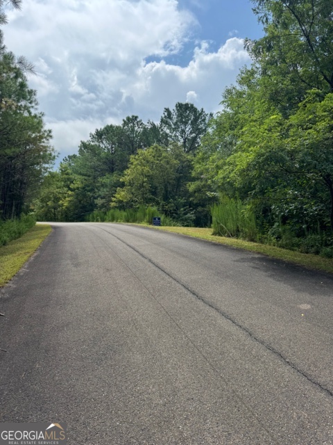 43-44 Reece Mountain Road Ellijay, GA 30536 - Photo 14 of 24 a view of a road with trees in the background