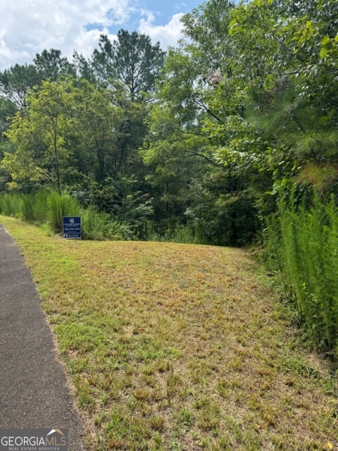 43-44 Reece Mountain Road Ellijay, GA 30536 - Photo 15 of 24 a view of a yard with an outdoor space