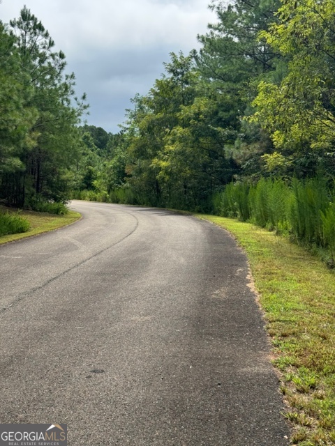 43-44 Reece Mountain Road Ellijay, GA 30536 - Photo 16 of 24 a view of a road with a yard