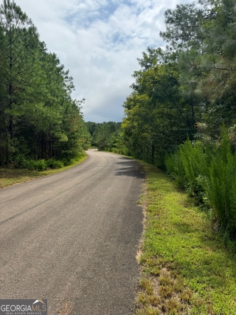 43-44 Reece Mountain Road Ellijay, GA 30536 - Photo 18 of 24 a view of a lake view with houses