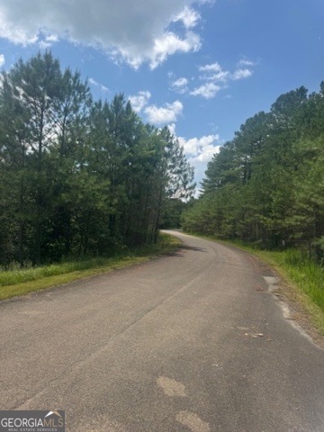 43-44 Reece Mountain Road Ellijay, GA 30536 - Photo 2 of 24 a view of a field with trees in background