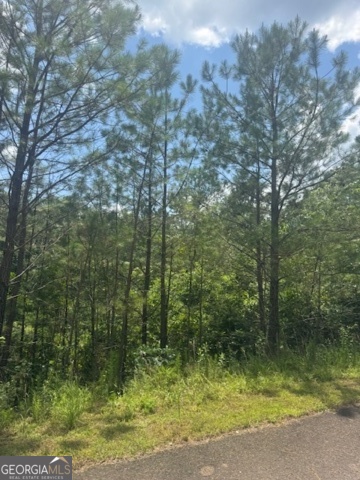 43-44 Reece Mountain Road Ellijay, GA 30536 - Photo 5 of 24 a view of a yard