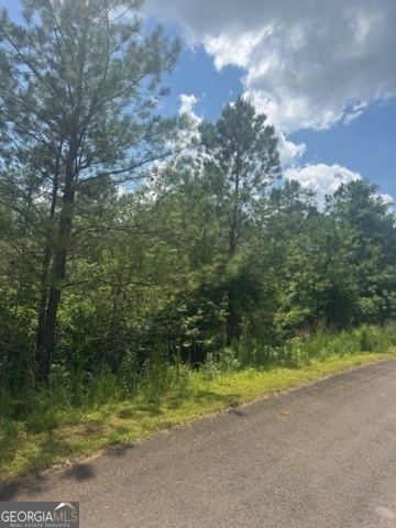 43-44 Reece Mountain Road Ellijay, GA 30536 - Photo 9 of 24 a view of a yard