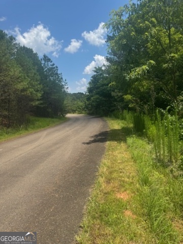 43-44 Reece Mountain Road Ellijay, GA 30536 - Photo 10 of 24 a view of a lake view