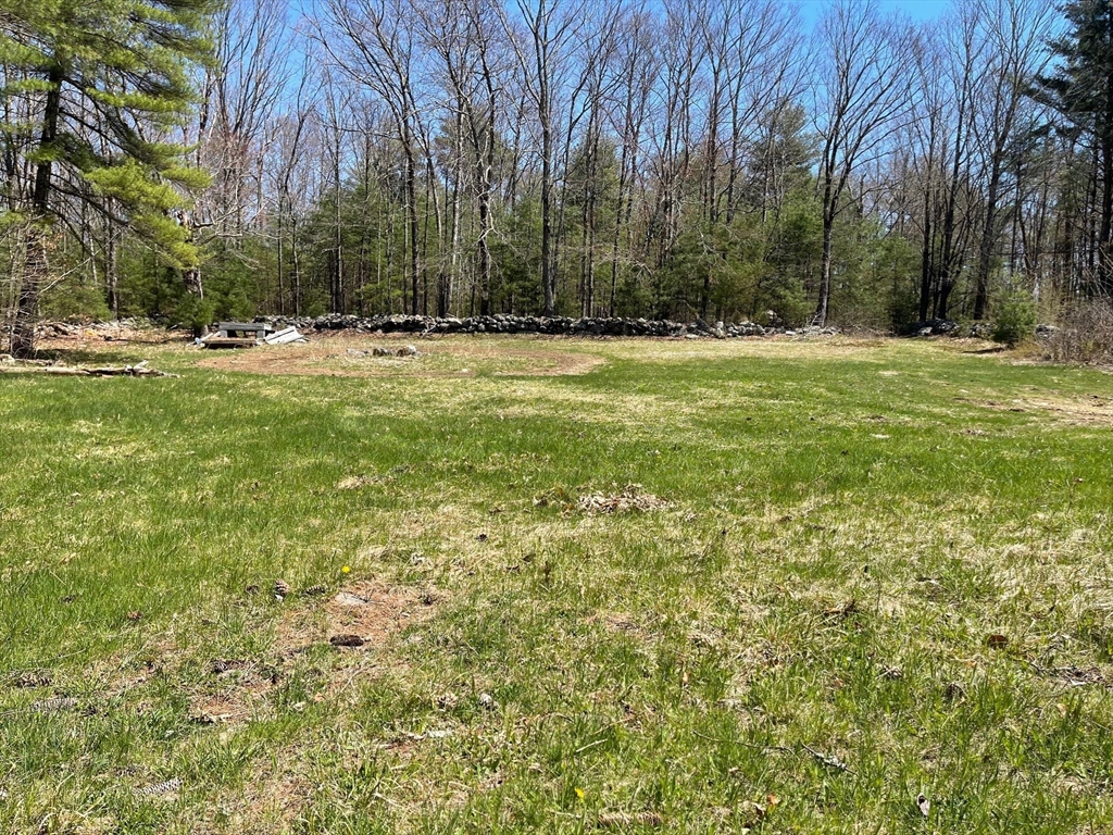 a view of outdoor space with trees all around
