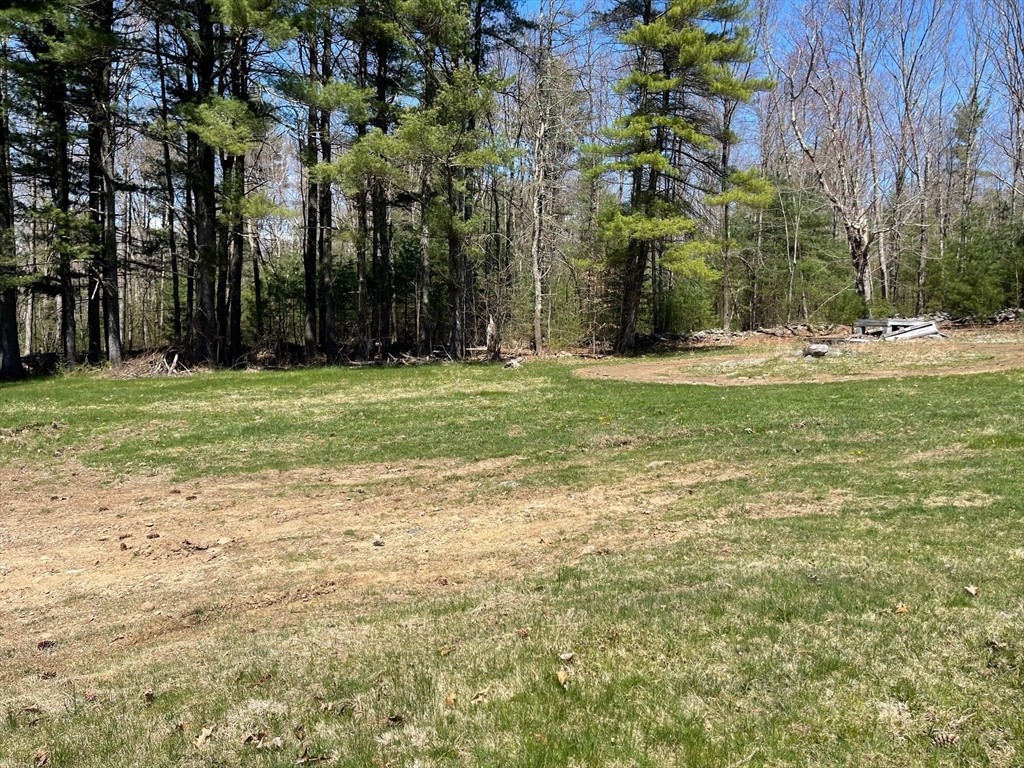 0 Short Road Hardwick, MA 01082 - Photo 3 of 5 a view of a park with large trees