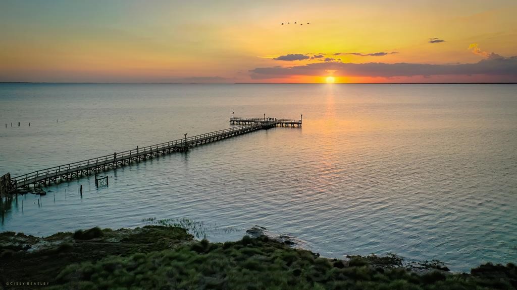129 Palmetto Point Road Rockport, TX 78382 - Photo 39 of 40
