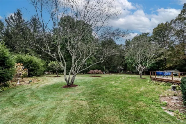 a view of a garden with trees