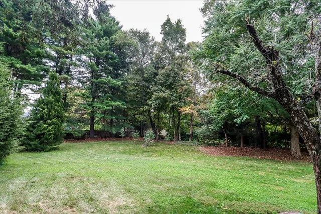 a view of a backyard with a trees