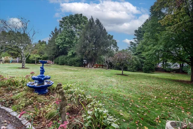 a view of a backyard with trees