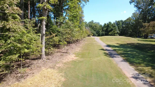 a view of a yard with trees
