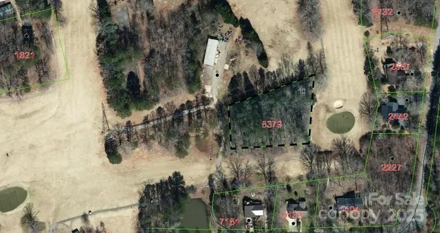 a aerial view of a house with a yard and large trees