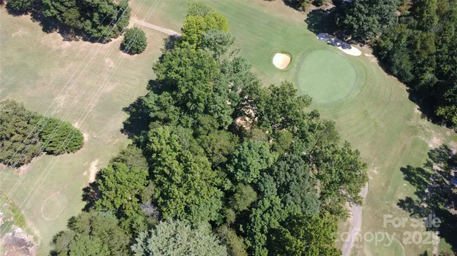 a view of a plant in a garden