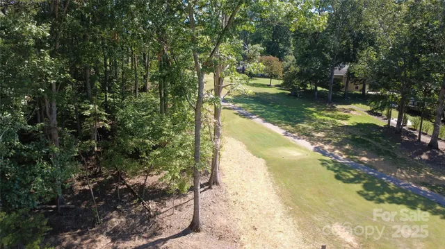 a view of a trees in a yard