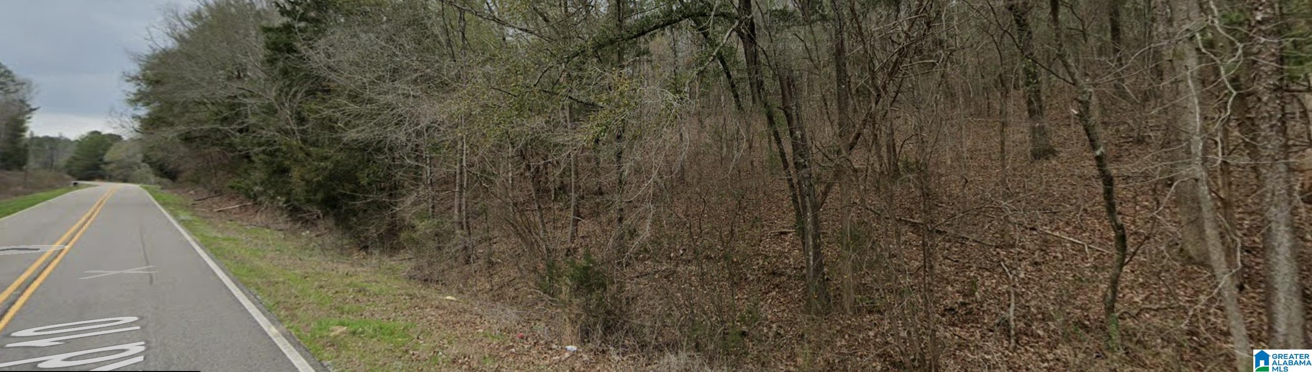 Marvel Road Brierfield, AL 35035 - Photo 3 of 3