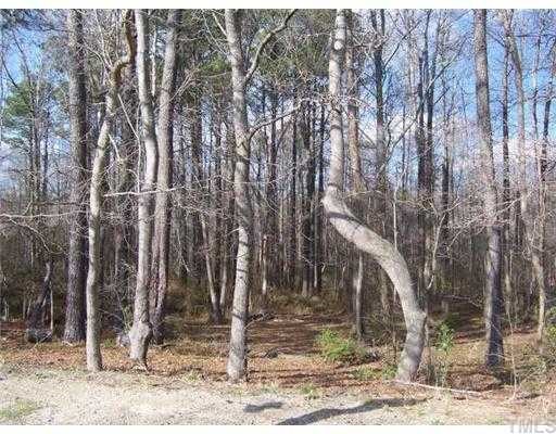 331 Stotts Mill Road Wendell, NC 27591 - Photo 3 of 12 Partially wooded lot.