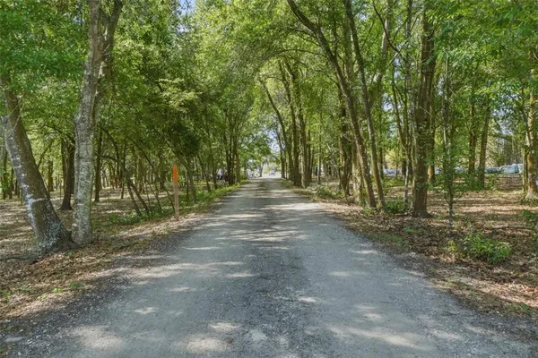 a view of outdoor space with trees