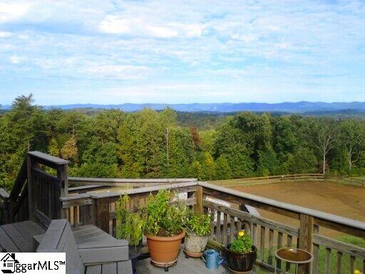 79 North Henderson Road Travelers Rest, SC 29690 - Photo 26 of 30