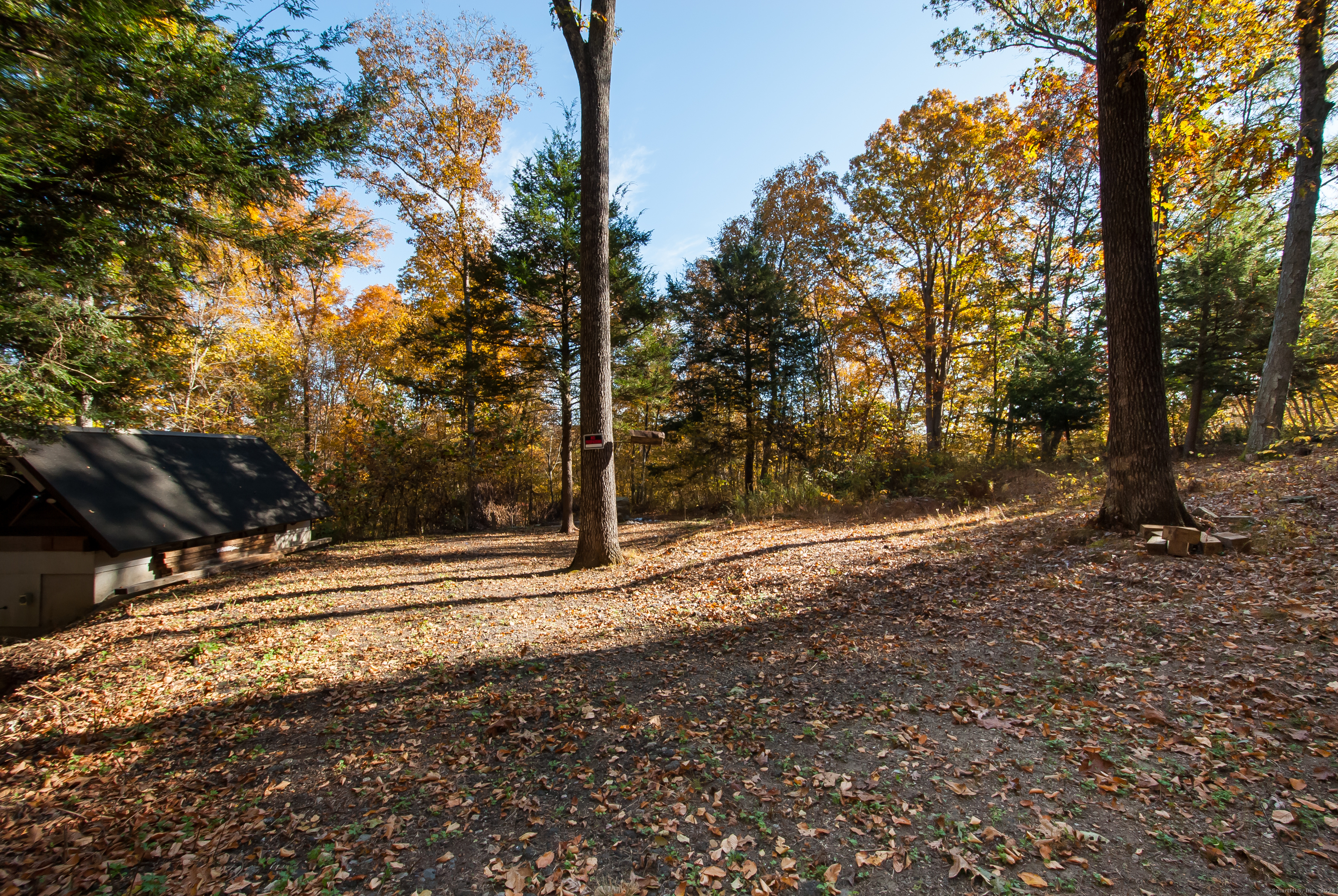 600 Berkshire Road Southbury, CT 06488 - Photo 12 of 27 a view of a yard with tree s