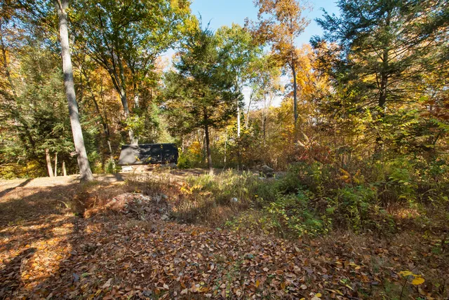 a view of a yard with tree s