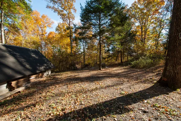 a backyard of a house with lots of green space