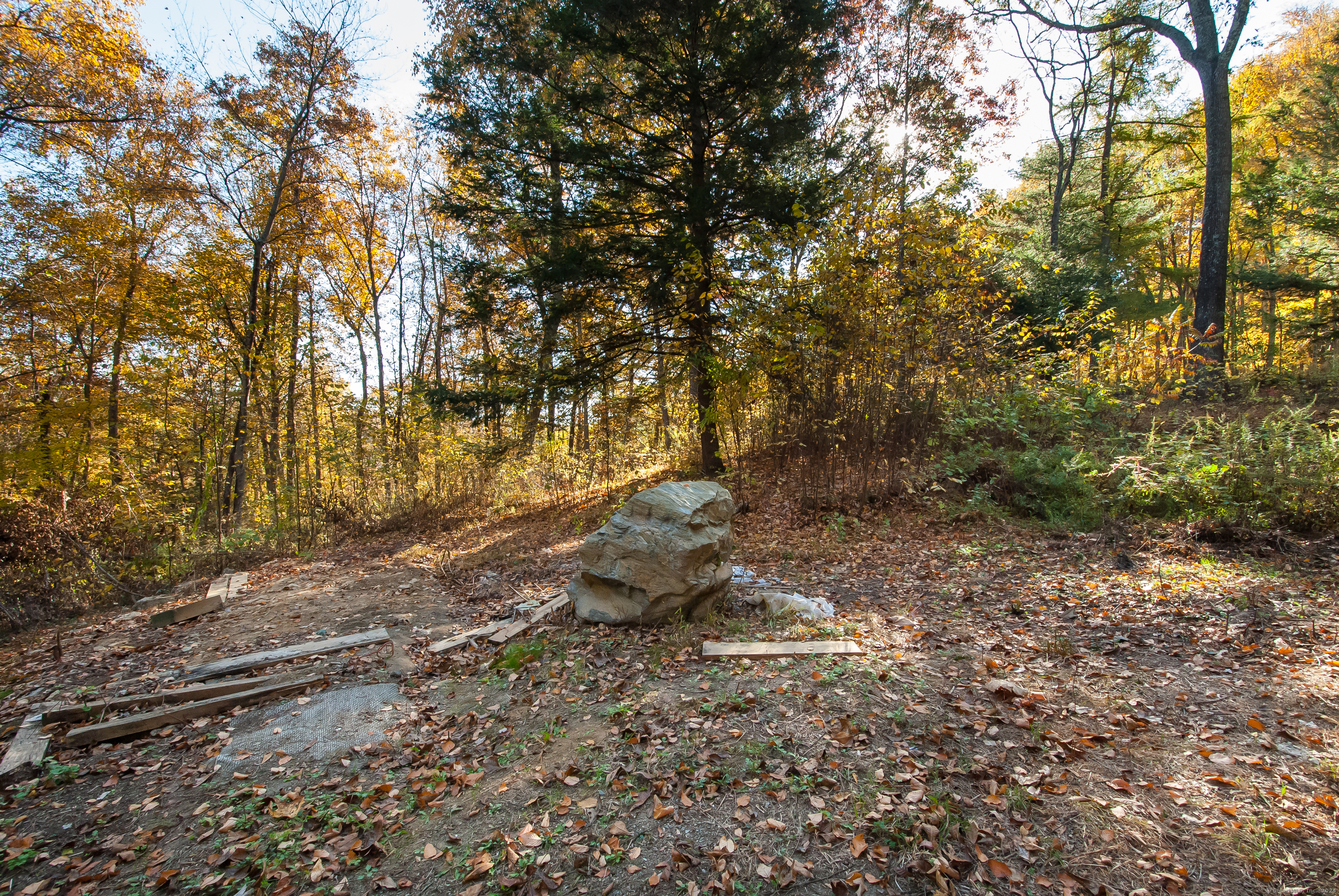 600 Berkshire Road Southbury, CT 06488 - Photo 14 of 27 a backyard of a house with lots of green space