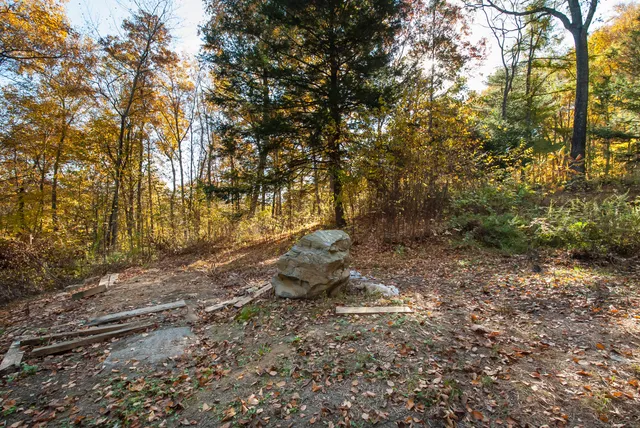 a house with trees in the background