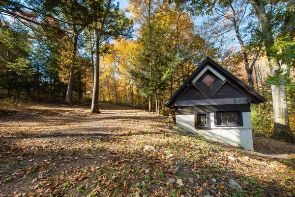 a house with trees in front of it