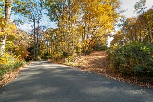 a view of road with large trees