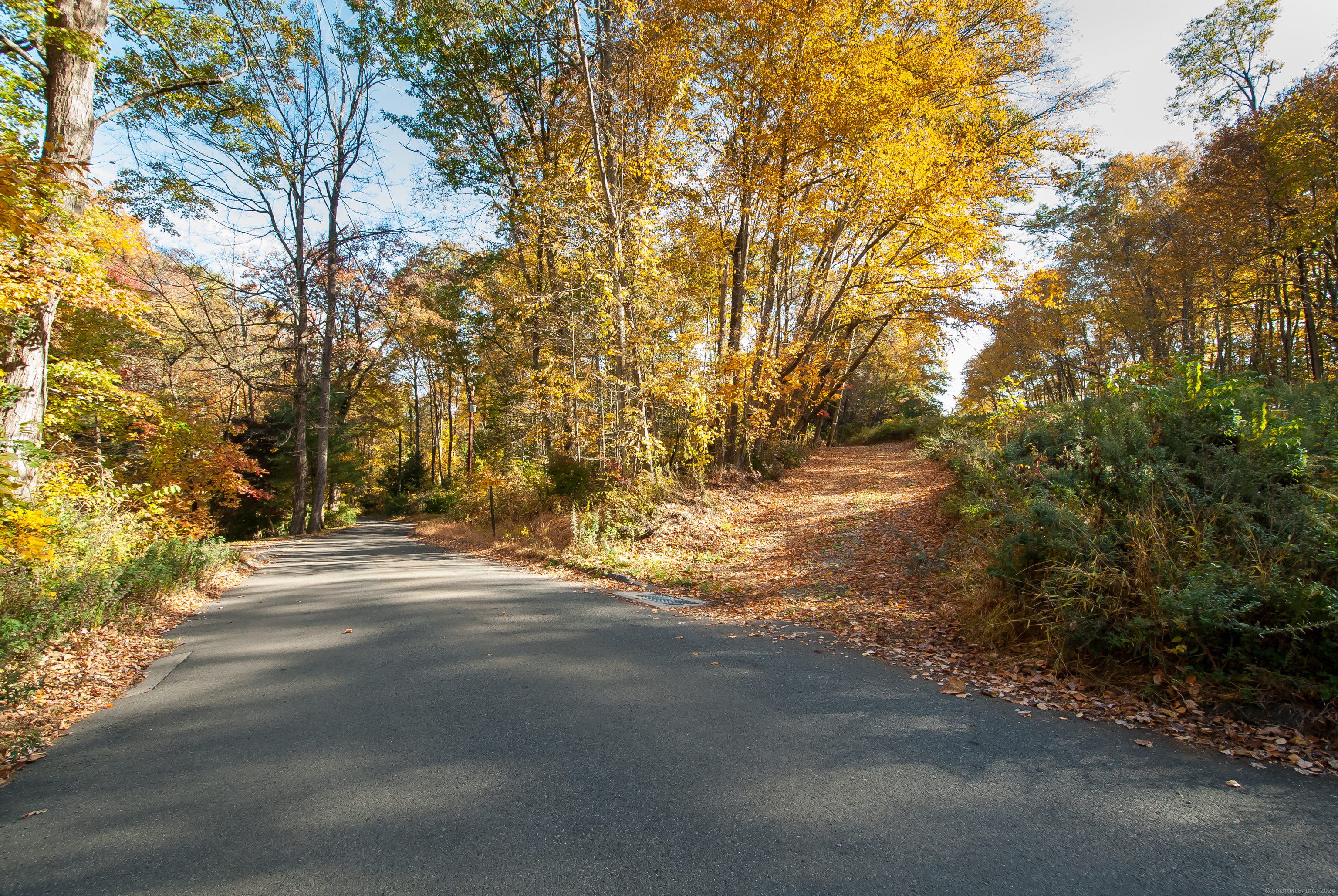 600 Berkshire Road Southbury, CT 06488 - Photo 2 of 27 a view of road with large trees
