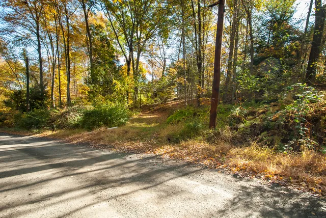 a view of a yard with a tree