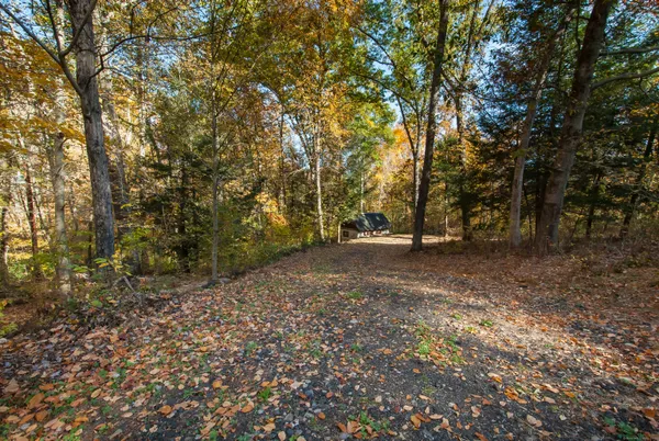 a view of outdoor space with trees