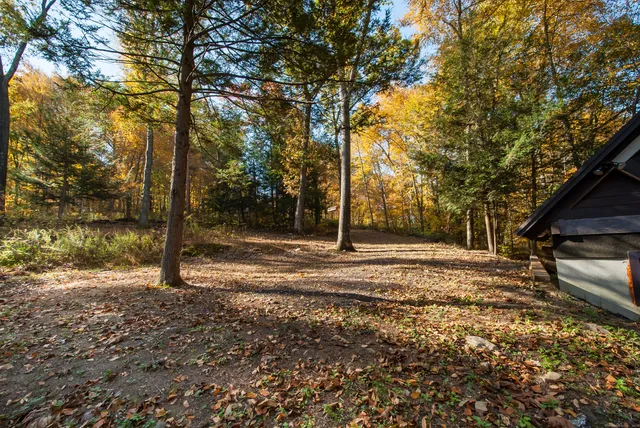 a view of a yard with large trees