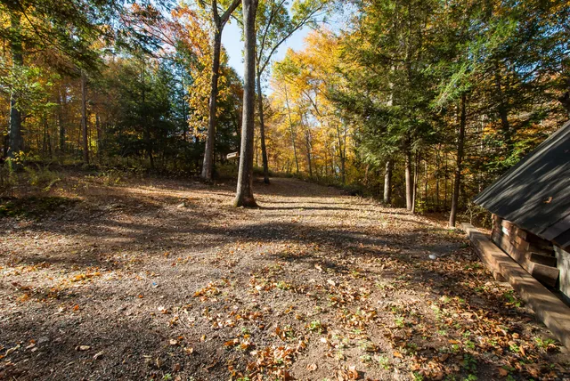 a backyard of a house with lots of green space