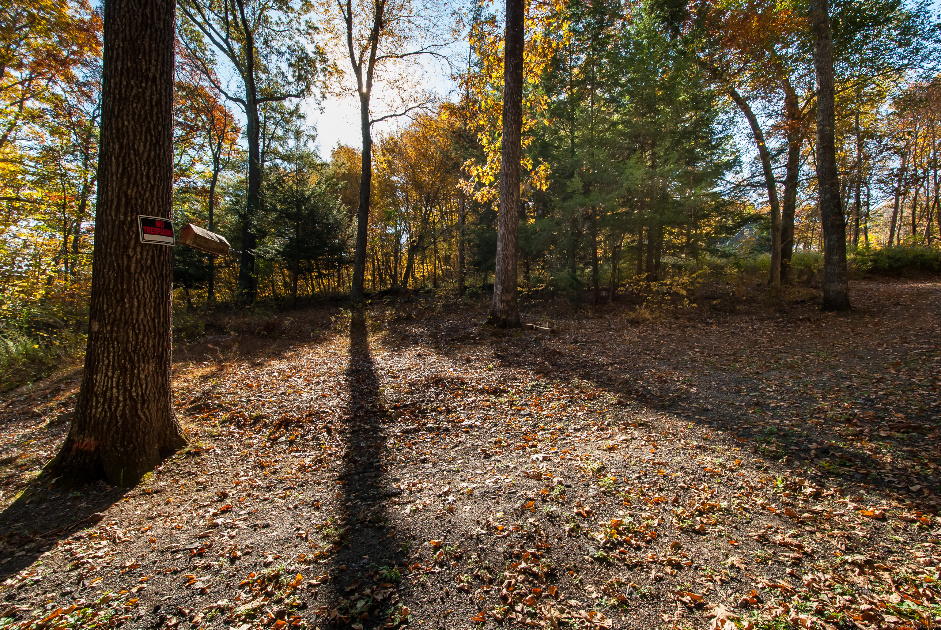 600 Berkshire Road Southbury, CT 06488 - Photo 8 of 27 a view of a yard with trees