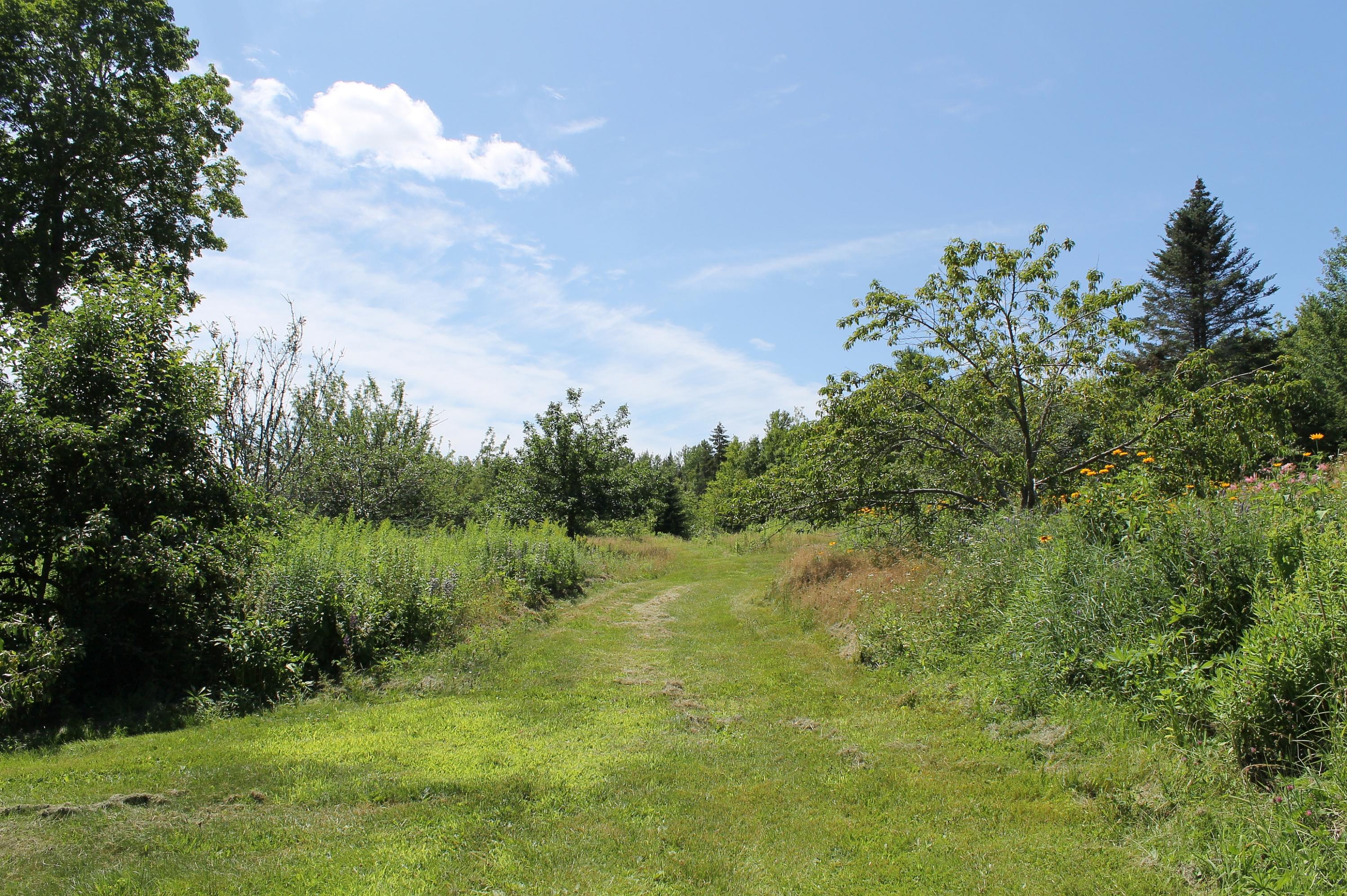 96 Seekins Road Searsport, ME 04974 - Photo 27 of 38 House to fields