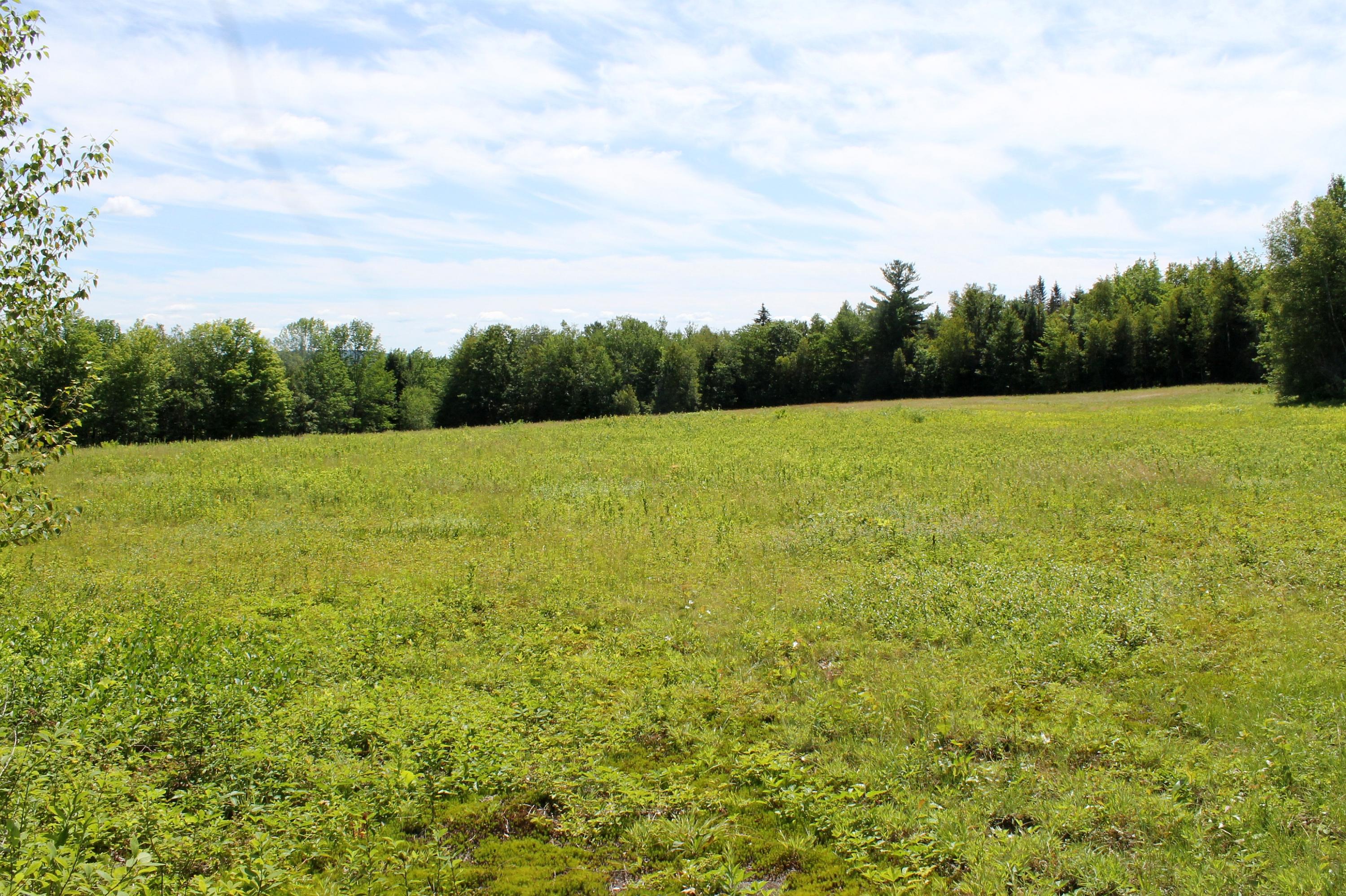 96 Seekins Road Searsport, ME 04974 - Photo 28 of 38 LargeField