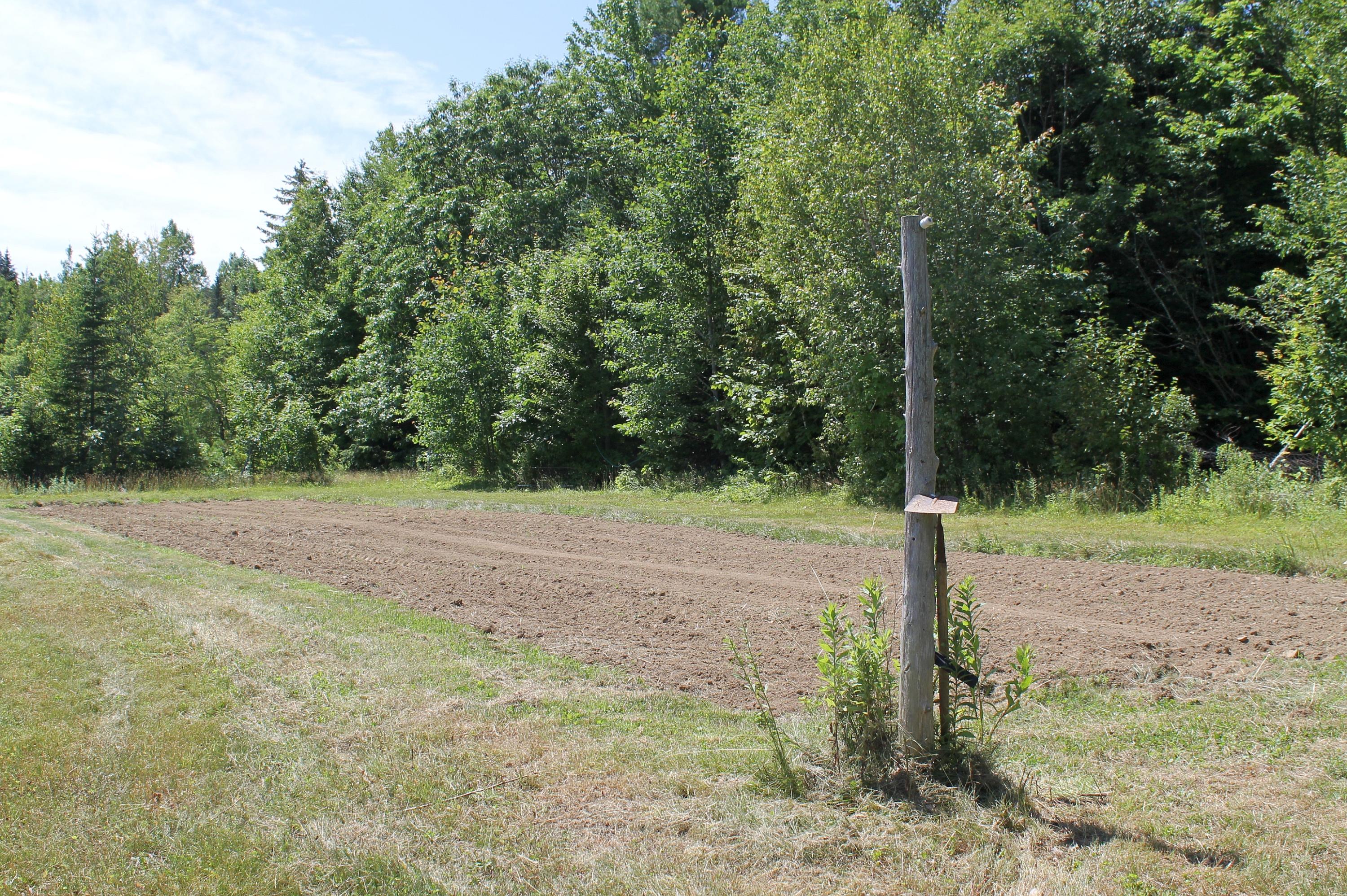 96 Seekins Road Searsport, ME 04974 - Photo 29 of 38 Roto-tilled Garden