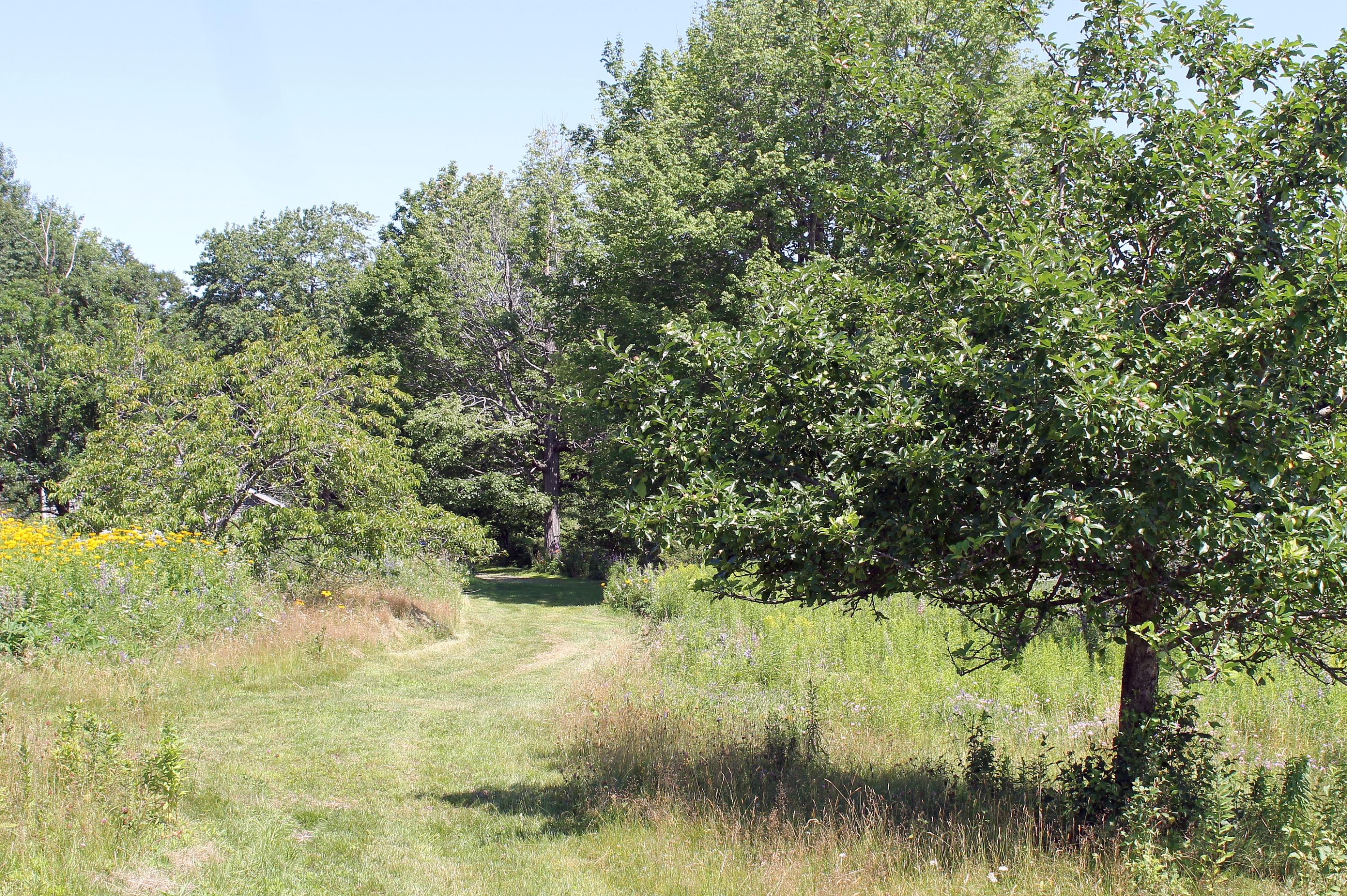 96 Seekins Road Searsport, ME 04974 - Photo 30 of 38 Trail: Fields to Barn