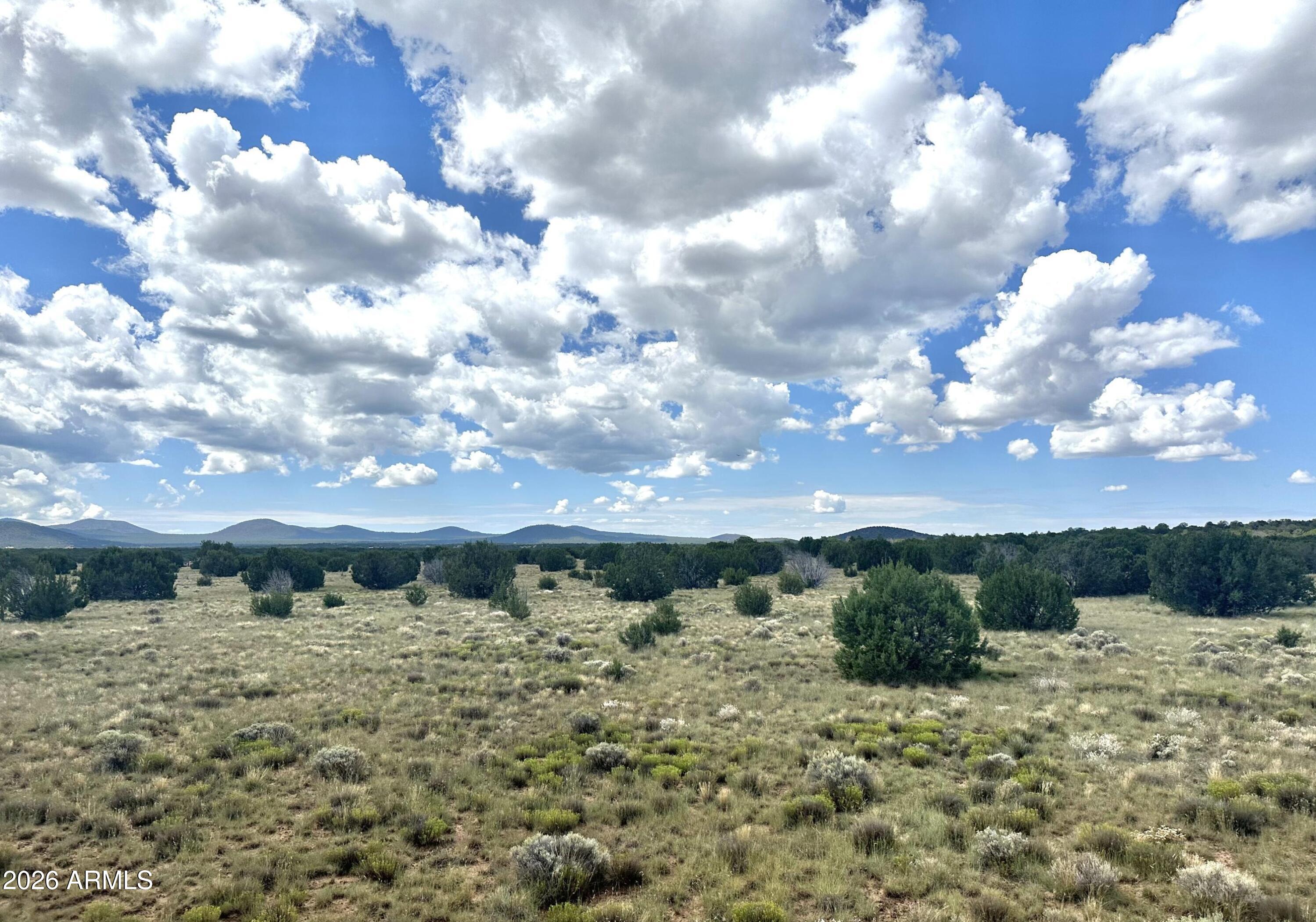 47 County Road Vernon, AZ 85940 - Photo 15 of 18 47 County Rd N3110