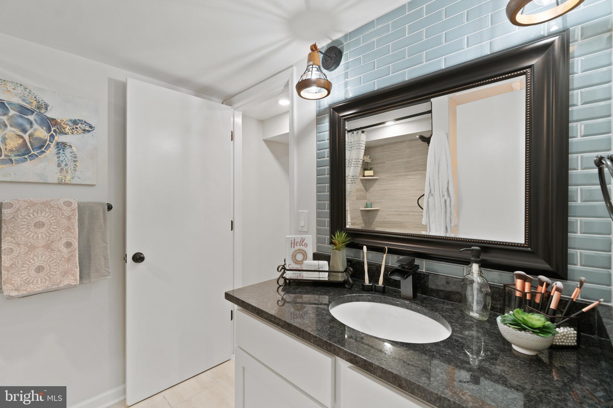 306 Battlefield Road Locust Grove, VA 22508 - Photo 24 of 34 Beautiful Lower Level Bath!!!
