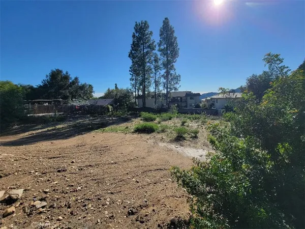 a view of a road with a yard