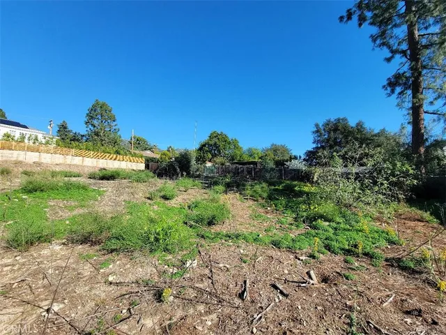a view of a yard with plants