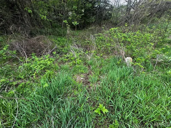 $400,000 | 0 County Road 120, Philadelphia, MO 63463