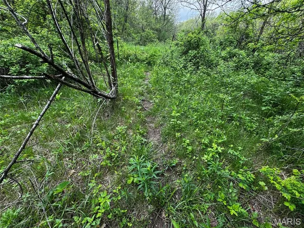 $400,000 | 0 County Road 120, Philadelphia, MO 63463
