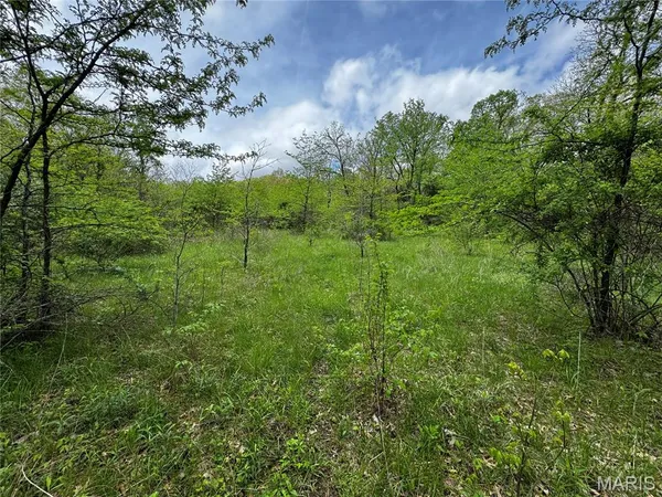 $400,000 | 0 County Road 120, Philadelphia, MO 63463