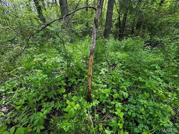 $400,000 | 0 County Road 120, Philadelphia, MO 63463